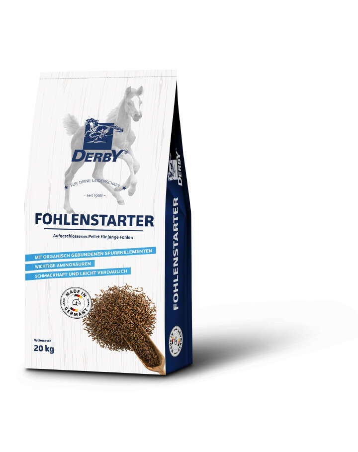 DERBY Fohlenstarter